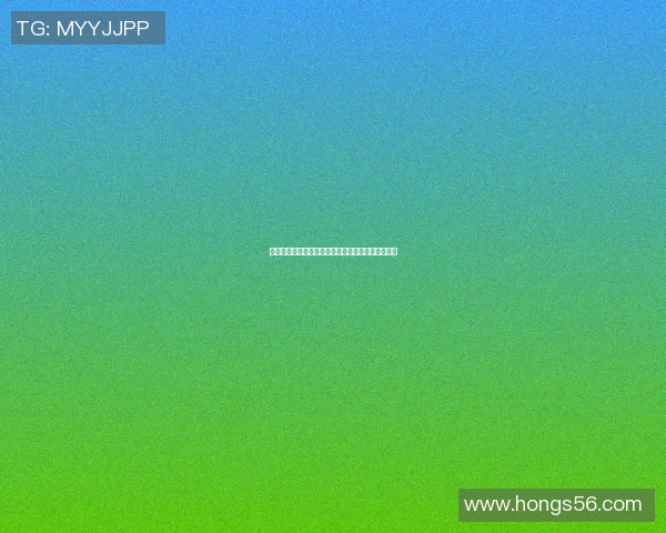 巴西与瑞士对决球探网深度解析赛事动态与球员表现